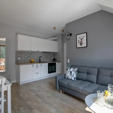 Affittacamere Na Skraju Lasu E-apart 3*