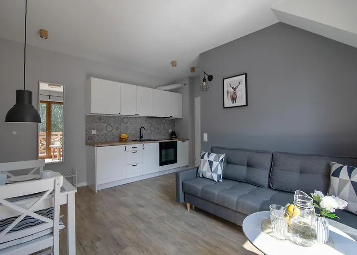 بيت ضيافة Na Skraju Lasu E-apart 3*